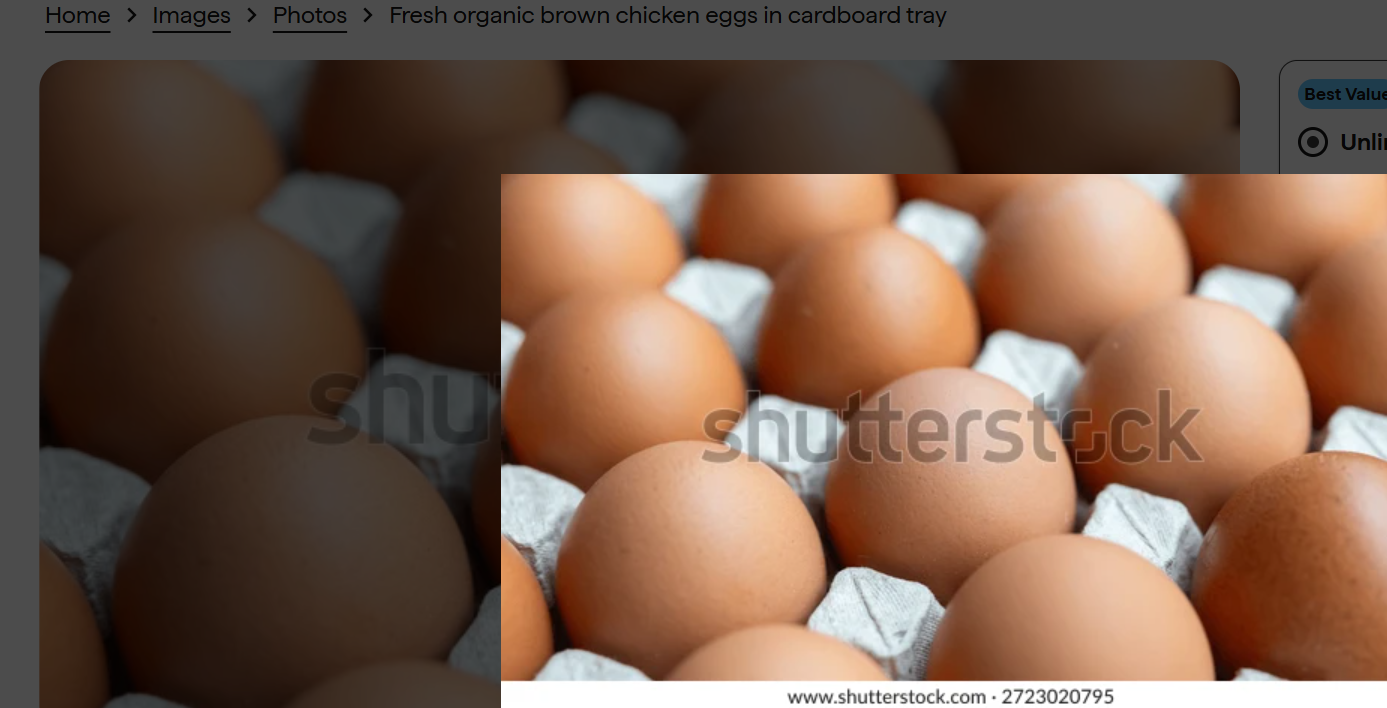 Jumbo Eggs